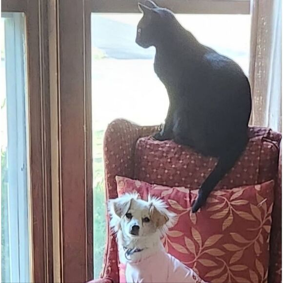 Thanks for Visiting!! - Picture 4 of 9